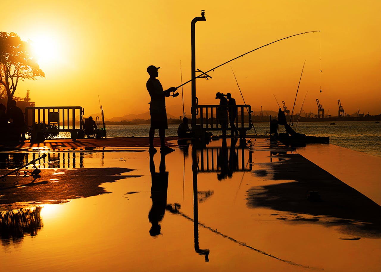 Pexels Photo 32628935